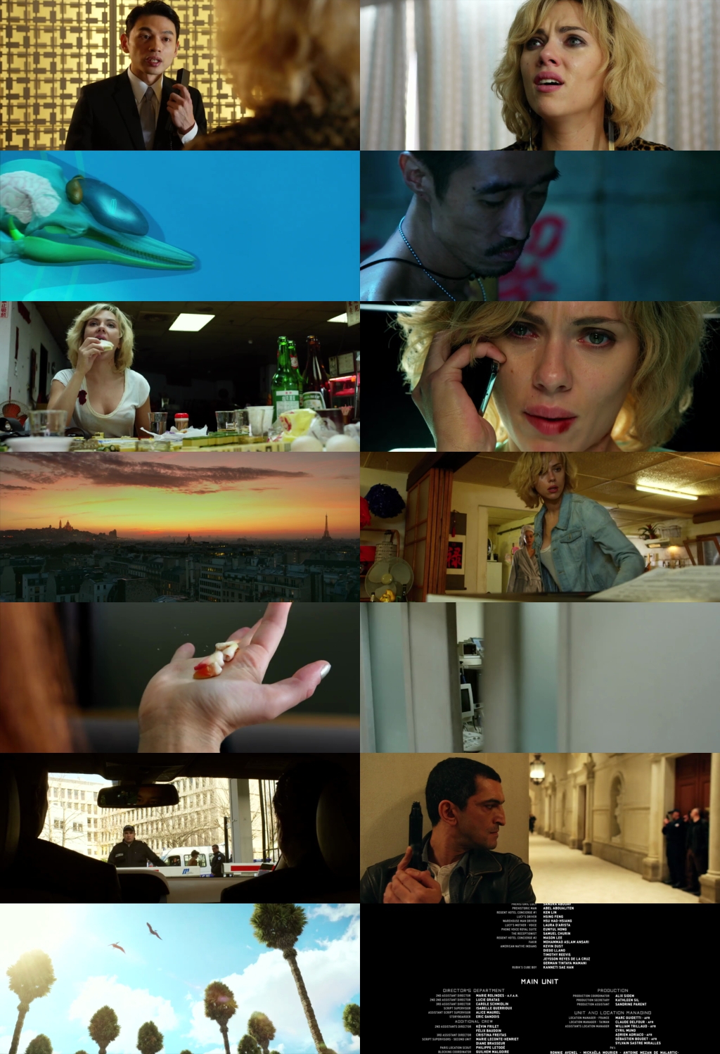 Lucy (2014) 1080p | 720p | 480p BluRay [Hindi (हिन्दी) + English] DD5.1 ESub Screenshots