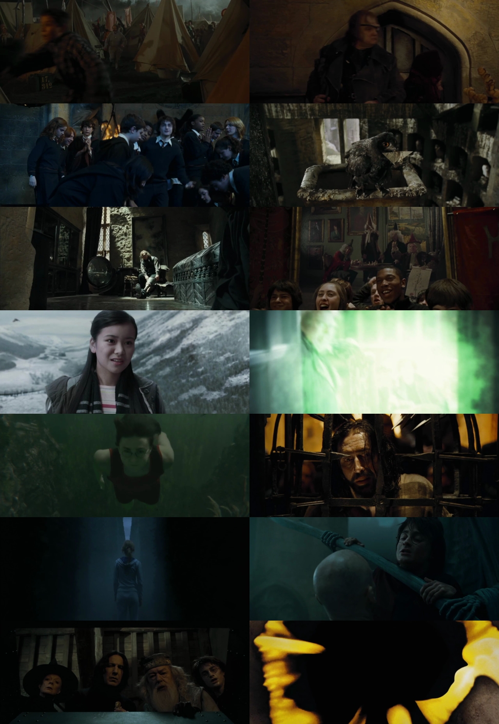 Harry Potter and the Goblet of Fire (2005) 1080p | 720p | 480p BluRay [Hindi (हिन्दी) + English] DD5.1 HEVC ESub Screenshots