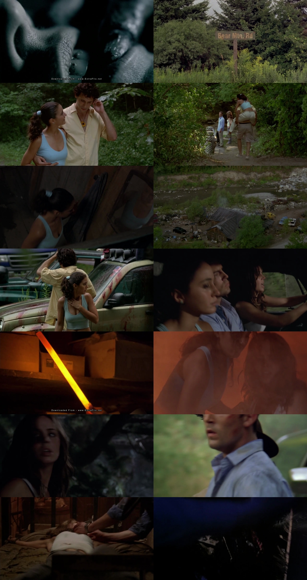 Wrong Turn (2003) 1080p | 720p | 480p BluRay [Hindi (हिन्दी) + English] DD5.1 ESub Screenshots