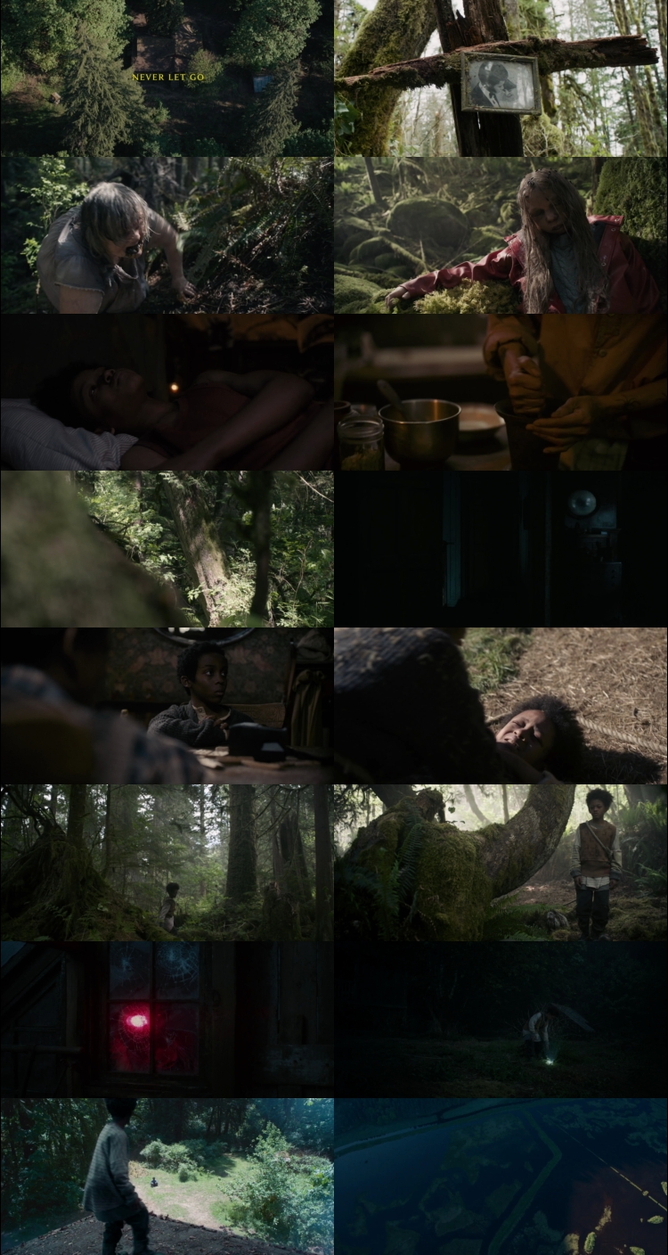 Never Let Go (2024) 1080p | 720p | 480p Web-HDRip [Hindi (हिन्दी) + English] DD5.1 ESub Screenshots