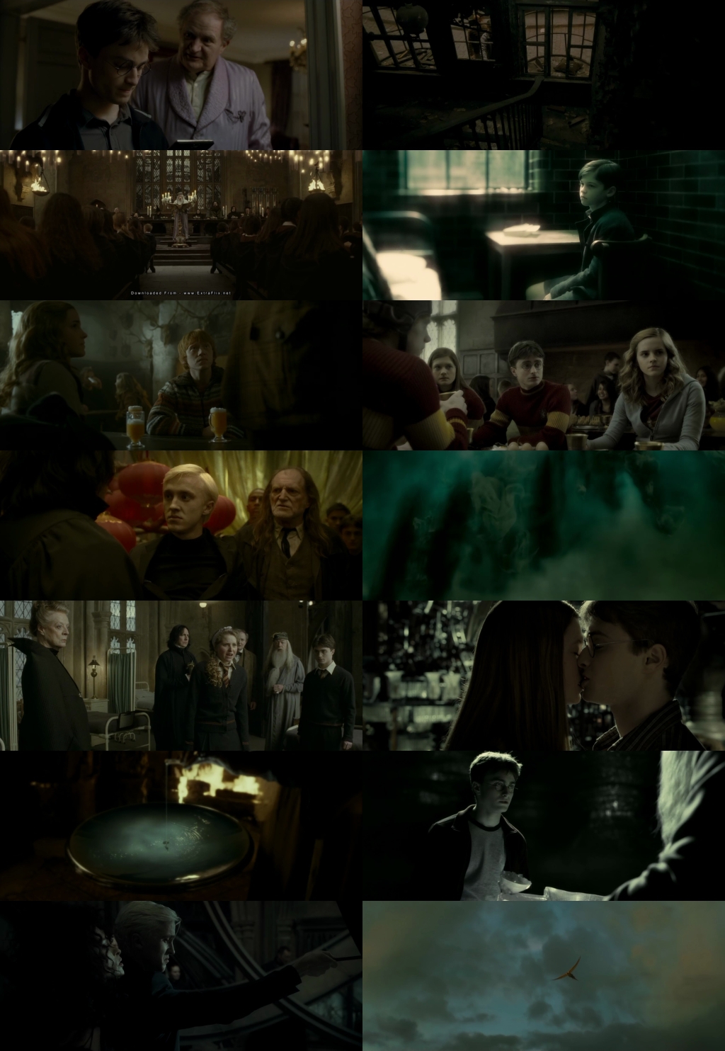 Harry Potter and the Half-Blood Prince (2009) 1080p | 720p | 480p BluRay [Hindi (हिन्दी) + English] DD5.1 HEVC ESub Screenshots