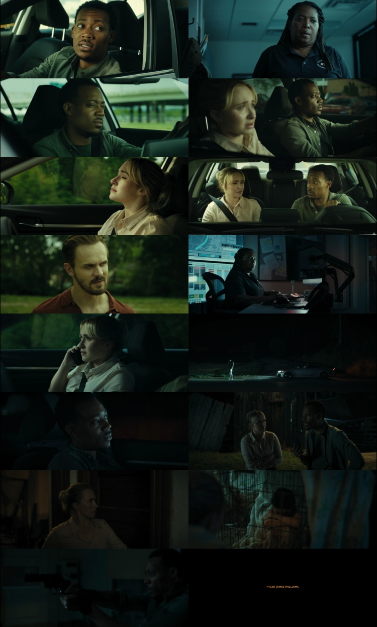 Amber Alert (2024) 1080p | 720p | 480p Web-HDRip [Hindi (हिन्दी) + English] DD5.1 ESub Screenshots