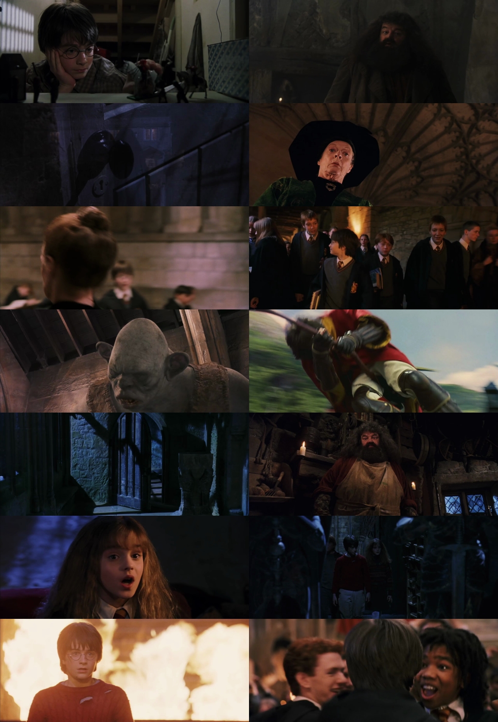 Harry Potter and the Philosopher’s Stone (2001) 1080p | 720p | 480p BluRay [Hindi (हिन्दी) + English] DD5.1 HEVC ESub Screenshots