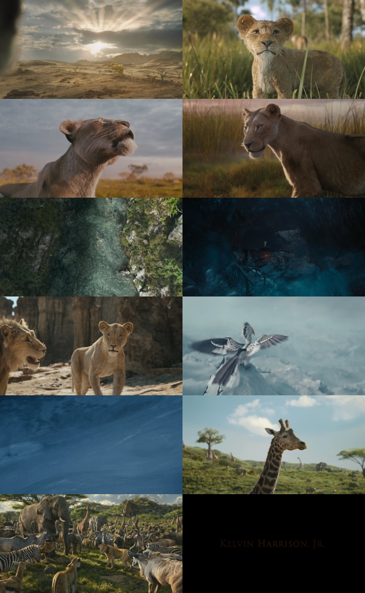 Mufasa The Lion King (2024) 1080p | 720p | 480p WEB-HDRip [Hindi (हिन्दी) + English] DD5.1 ESub Screenshots