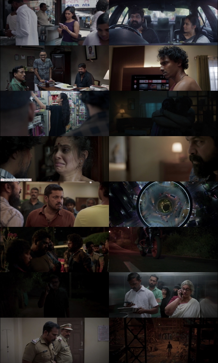 Pani (2024) 1080p | 720p | 480p HDRip [Hindi (हिन्दी) + Malayalam] DD5.1 ESub Screenshots
