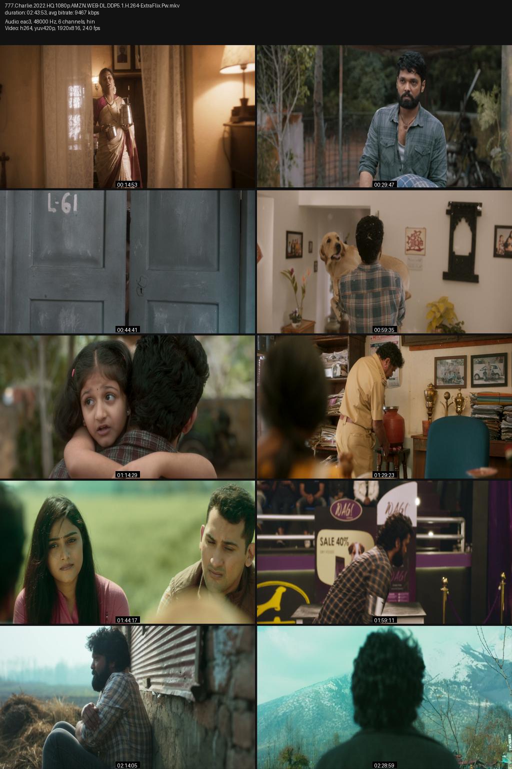 777 Charlie (2022) 1080p | 720p | 480p Amazon WEB-DL Hindi ESub Screenshots
