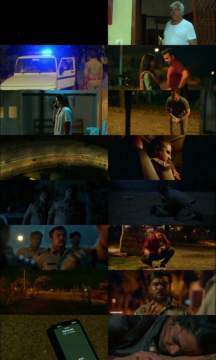 Chidiyan Da Chamba (2023) 1080p | 720p | 480p WEB-HDRip [Punjabi (ਪੰਜਾਬੀ)] DD5.1 ESub Screenshots
