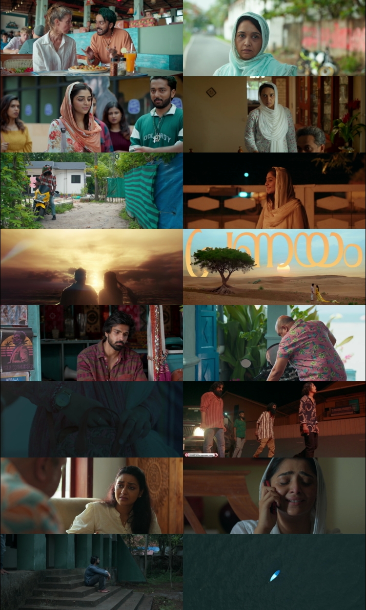 Qalb (2024) 1080p | 720p | 480p HDRip [Hindi (हिन्दी) + Malayalam] DD5.1 ESub Screenshots