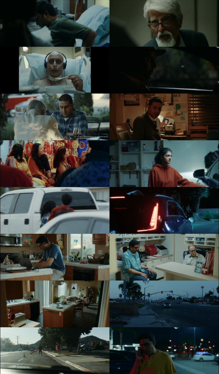 I want to talk (2024) 1080p | 720p | 480p HDRip [Hindi (हिन्दी)] DD5.1 ESub Screenshots