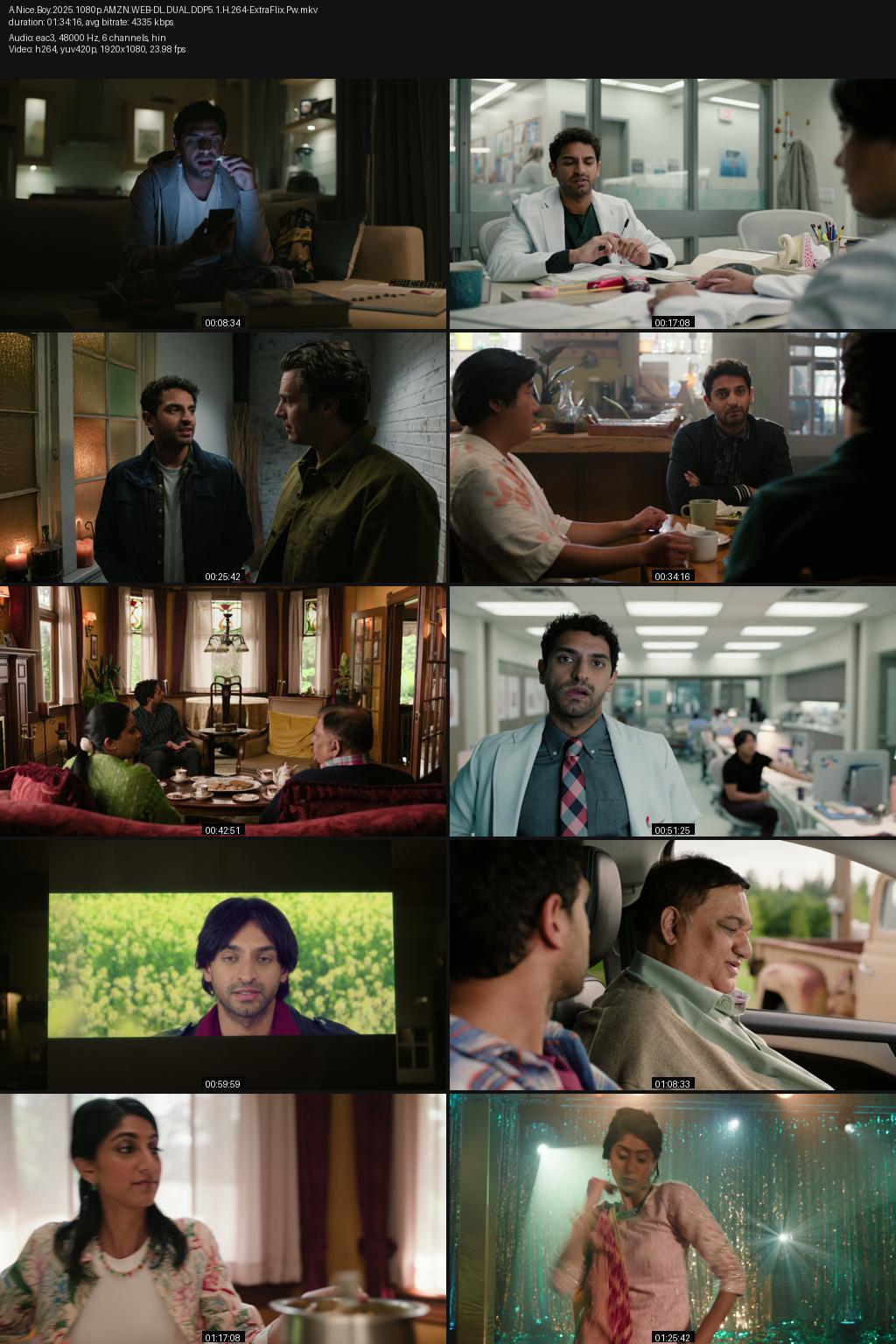 A Nice Indian Boy aka A Nice Boy (2025) [Hindi-English] 1080p 720p 480p Amazon WEB-DL ESub Screenshots