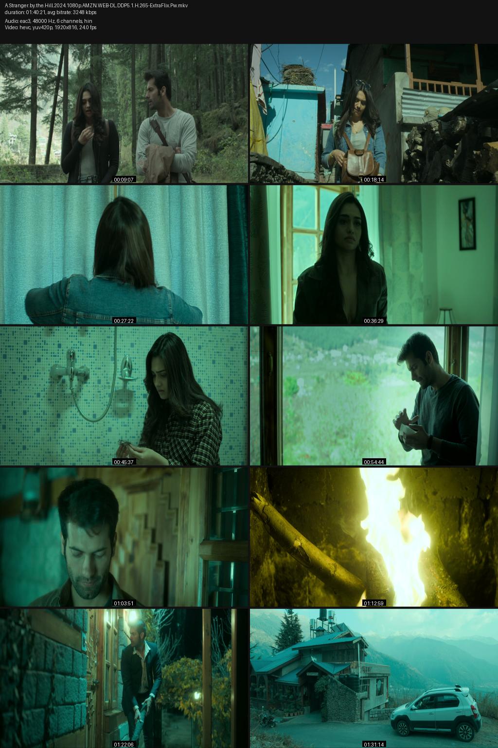 A Stranger by the Hill (2024) Hindi 1080p 720p 480p Amazon WEB-DL ESub Screenshots
