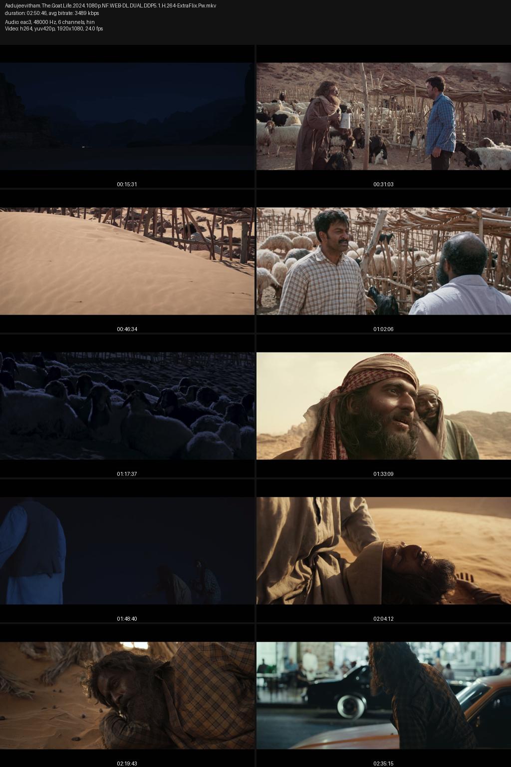Aadujeevitham: The Goat Life (2024) [Hindi-Malayalam] 4K 2160p 1080p 720p 540p Netflix WEB-DL ESub Screenshots