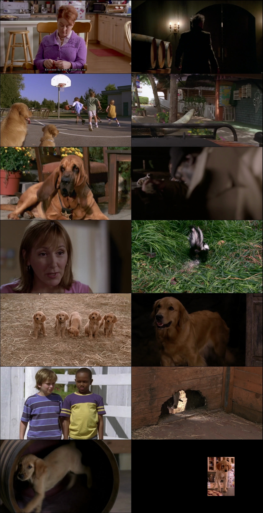 Air Buddies (2006) 1080p | 720p | 480p BluRay [Hindi (हिन्दी) + English] DD5.1 ESub Screenshots