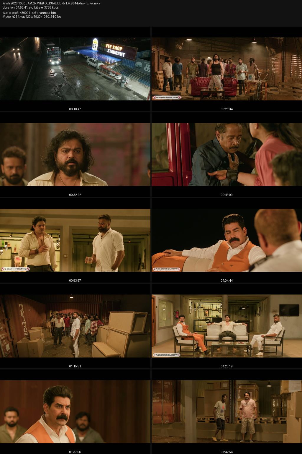 Anali (2026) [Hindi-Tamil] 4K 2160p 1080p 720p 480p Amazon WEB-DL ESub Screenshots