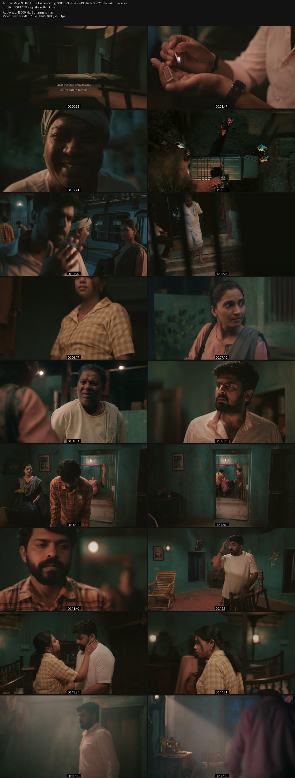 Andhar Maya Season 1 (2025) 4K 2160p | 1080p | 720p | 480p ZEE5 WEB-DL [Hindi-Marathi] ESub Screenshots