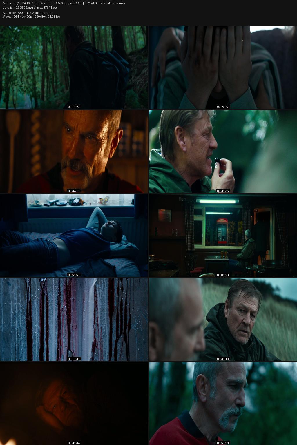 Anemone (2025) [Hindi-English] 1080p 720p 480p BluRay ESubs Screenshots