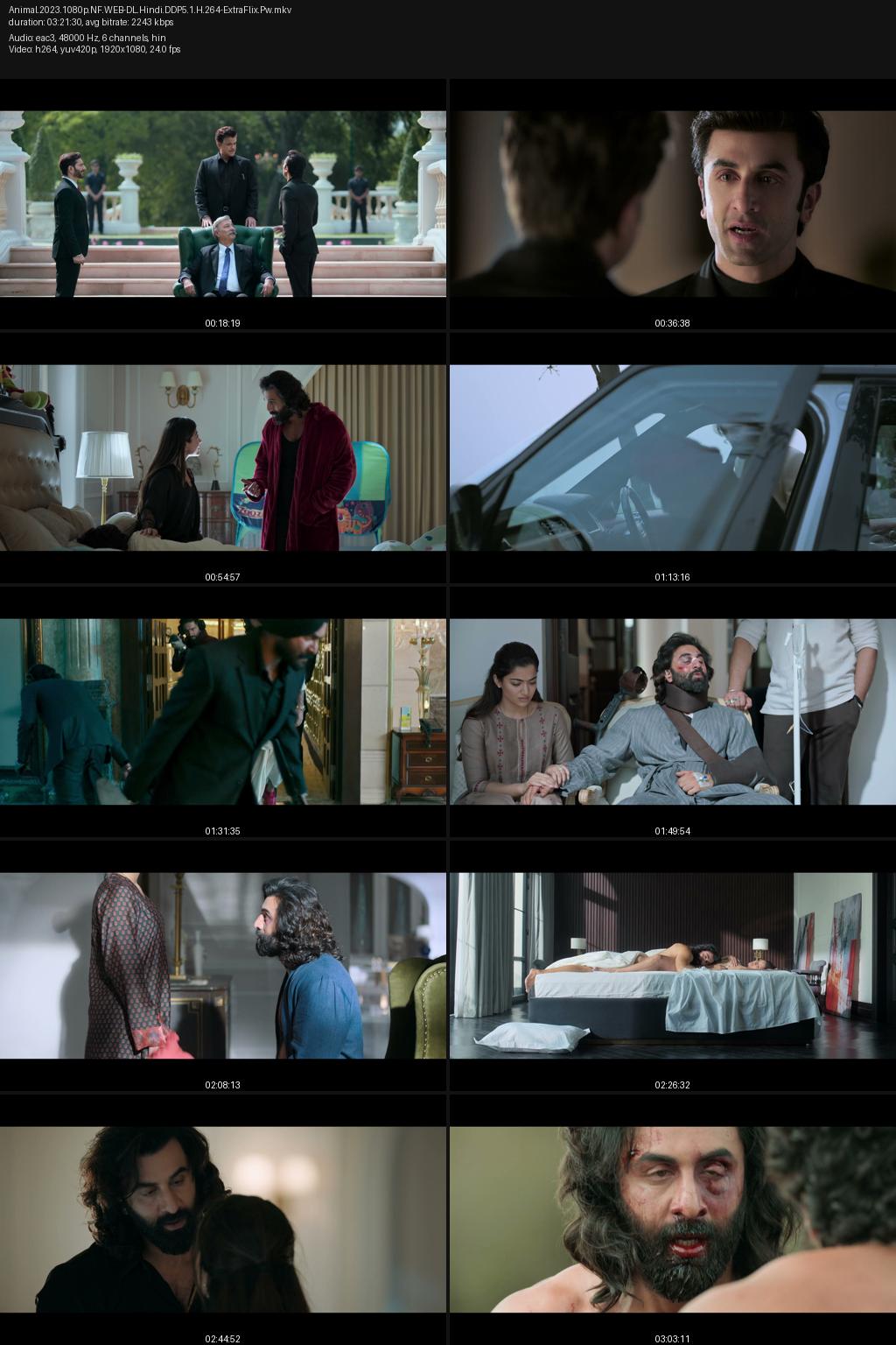 Animal (2023) [Hindi] 4K 2160p 1080p 720p 540p Netflix WEB-DL ESub Screenshots