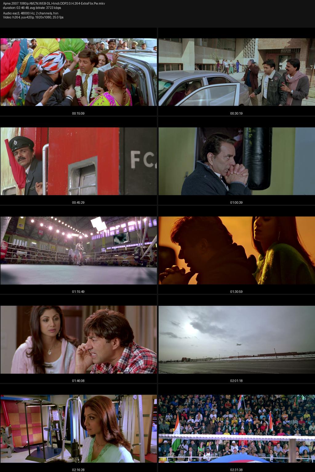 Apne (2007) [Hindi] 1080p 720p 480p Amazon WEB-DL ESub Screenshots