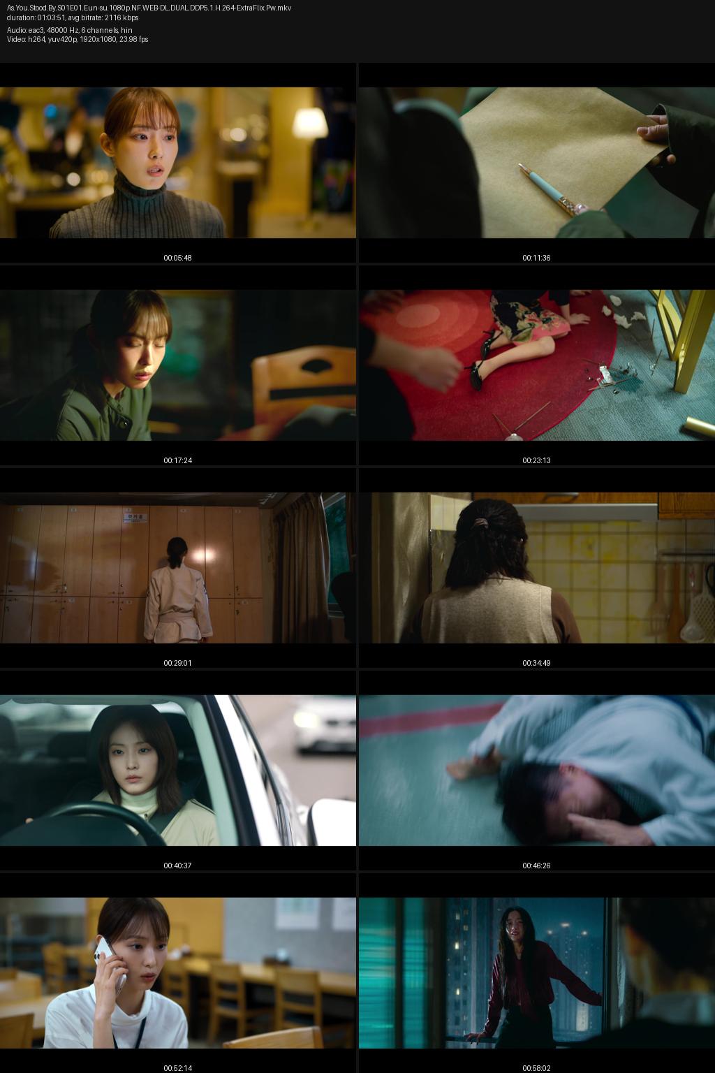 As You Stood By Season 1 (2025) [Hindi-Korean] 1080p 720p 480p Netflix WEB-DL ESubs Screenshots