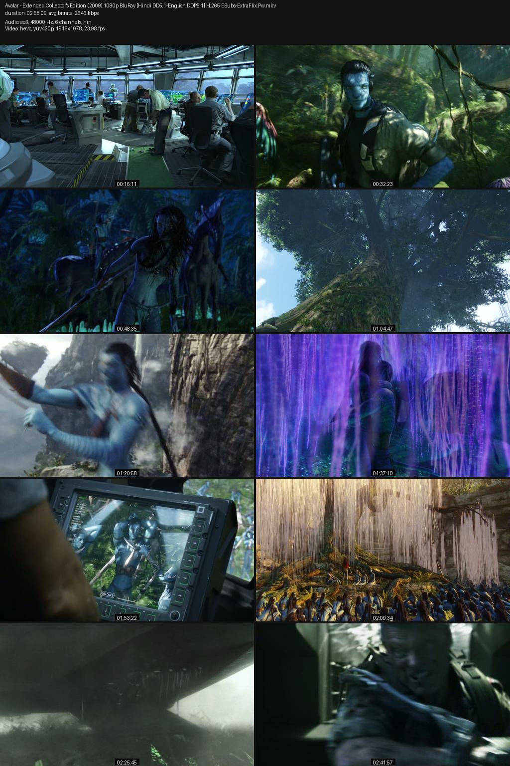 Avatar (2009) Extended Edition [Hindi-English] 1080p 720p 480p BluRay ESubs Screenshots