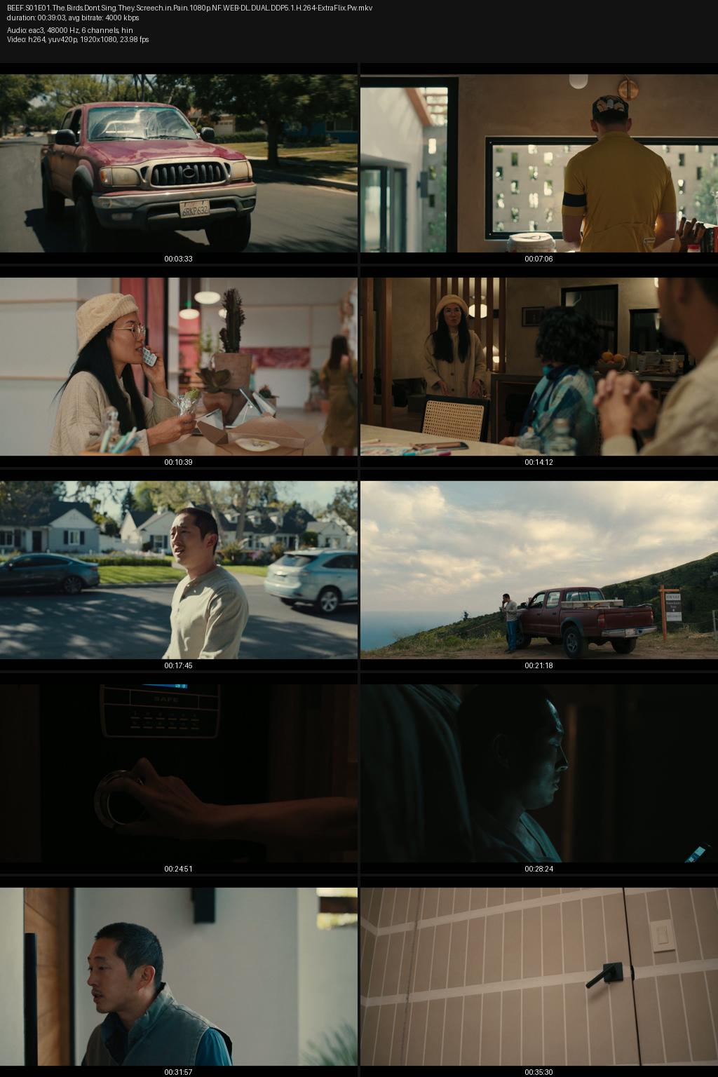 BEEF Season 1 (2023) [Hindi-English] 1080p 720p 480p Netflix WEB-DL ESubs Screenshots