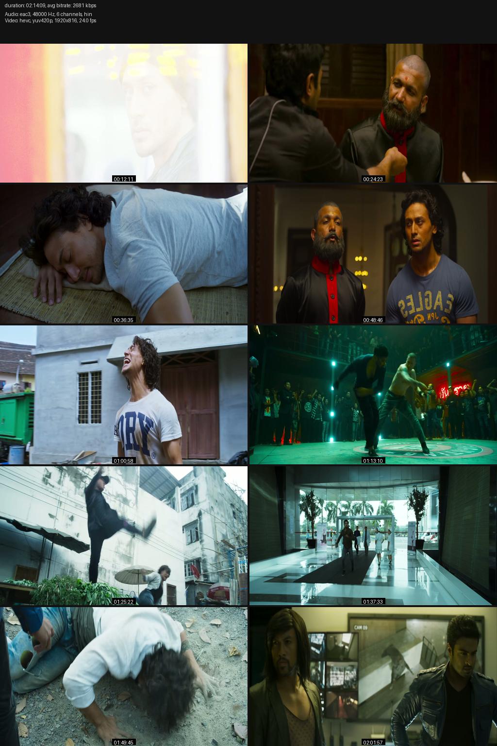 Baaghi (2016) Hindi 1080p 720p 480p BluRay ESubs Screenshots