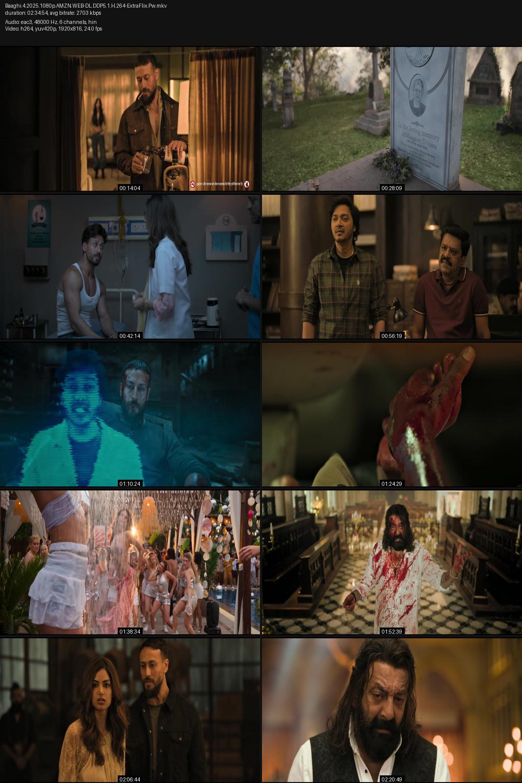 Baaghi 4 (2025) [Hindi] 4K 2160p 1080p 720p 480p Amazon WEB-DL ESub Screenshots