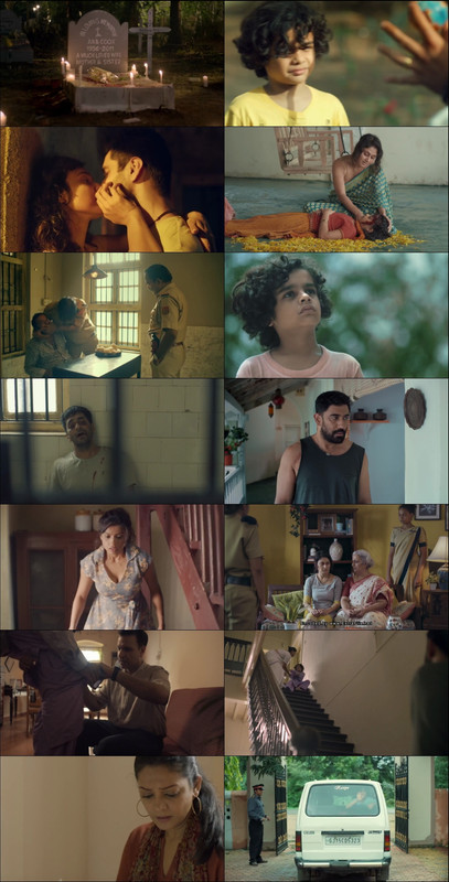 Barot House (2019) 1080p | 720p | 480p WebRip [Hindi (हिन्दी)] DD5.1 ESub Screenshots