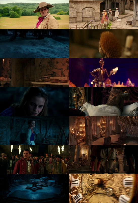 Beauty and the Beast (2017) 1080p | 720p | 480p BluRay [Hindi (हिन्दी) + English] DD5.1 HEVC ESub Screenshots