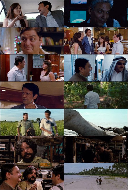 Bheja Fry 2 (2011) 1080p | 720p | 480p WebRip [Hindi (हिन्दी)] DD5.1 ESub Screenshots