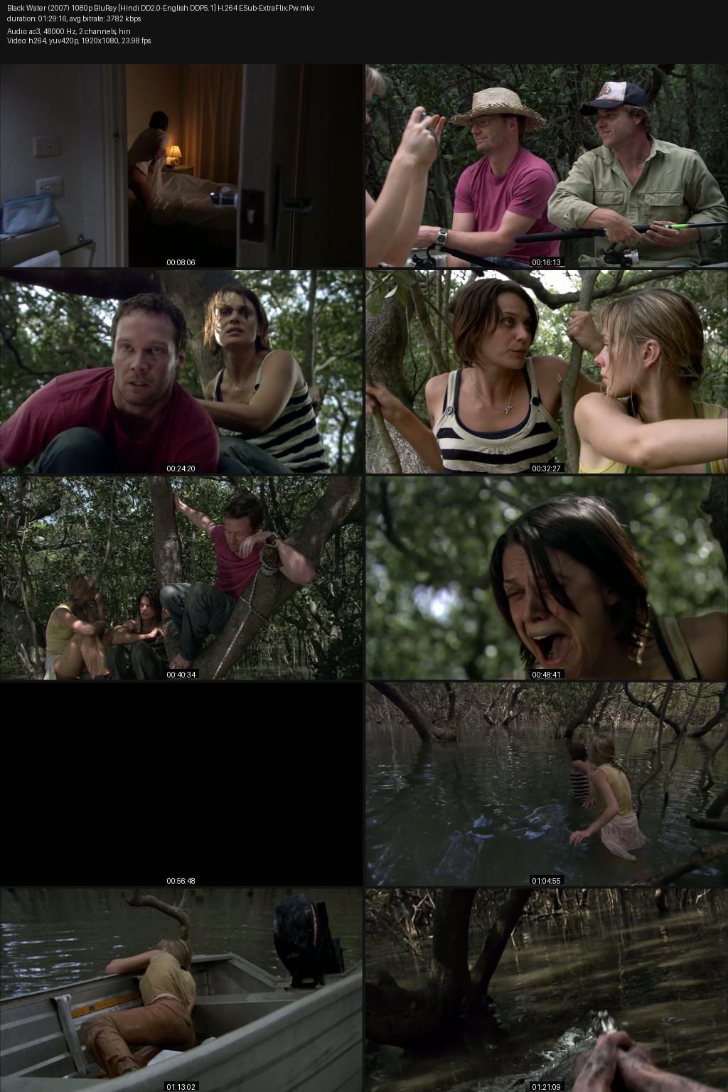 Black Water (2007) [Hindi-English] 1080p 720p 480p BluRay ESub Screenshots