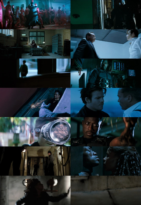 Blade (1998) 1080p | 720p | 480p BluRay [Hindi (हिन्दी) + English] DD5.1 HEVC ESub Screenshots