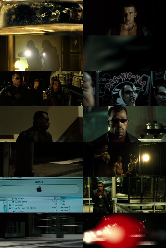 Blade: Trinity (2004) 1080p | 720p | 480p BluRay [Hindi (हिन्दी) + English] DD5.1 HEVC ESub Screenshots