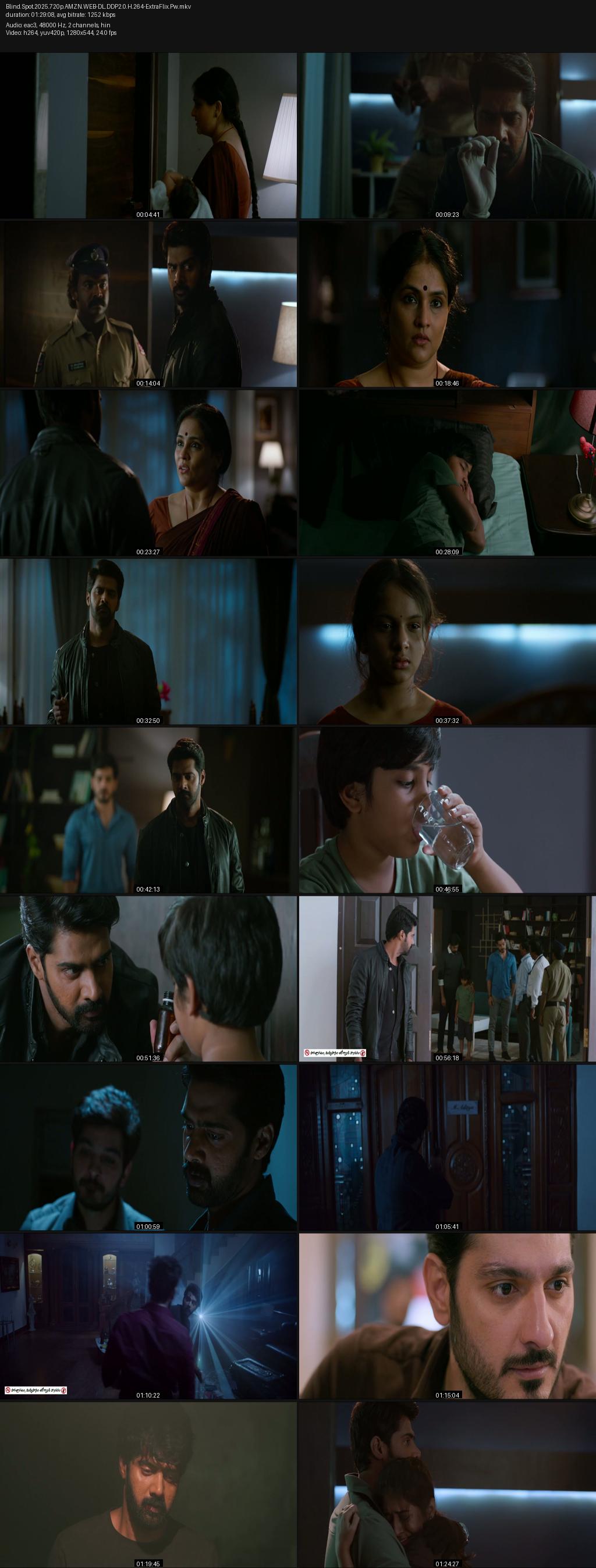 Blind Spot (2025) 1080p | 720p | 480p Amazon WEB-DL [Hindi-Telugu] ESub Screenshots