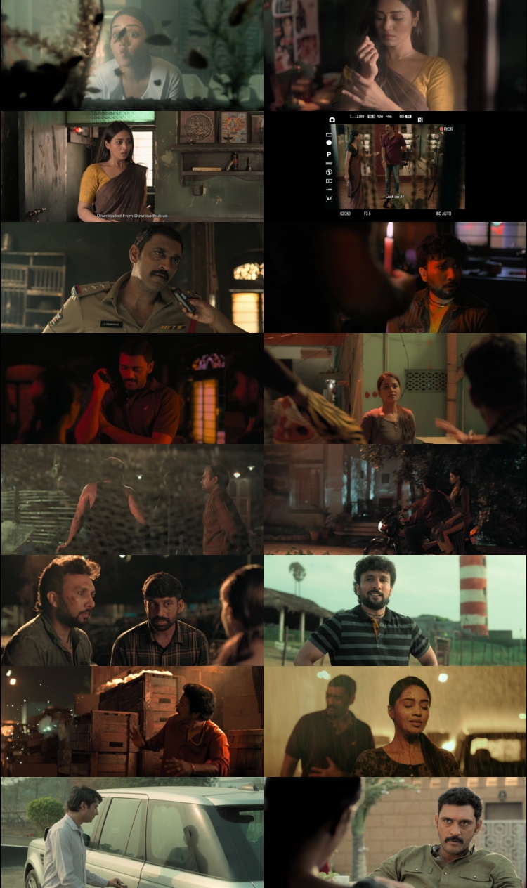 Bloody Mary (2022) 1080p | 720p | 480p WEB-HDRip [Hindi (हिन्दी) Telugu] DD5.1 ESubs Screenshots