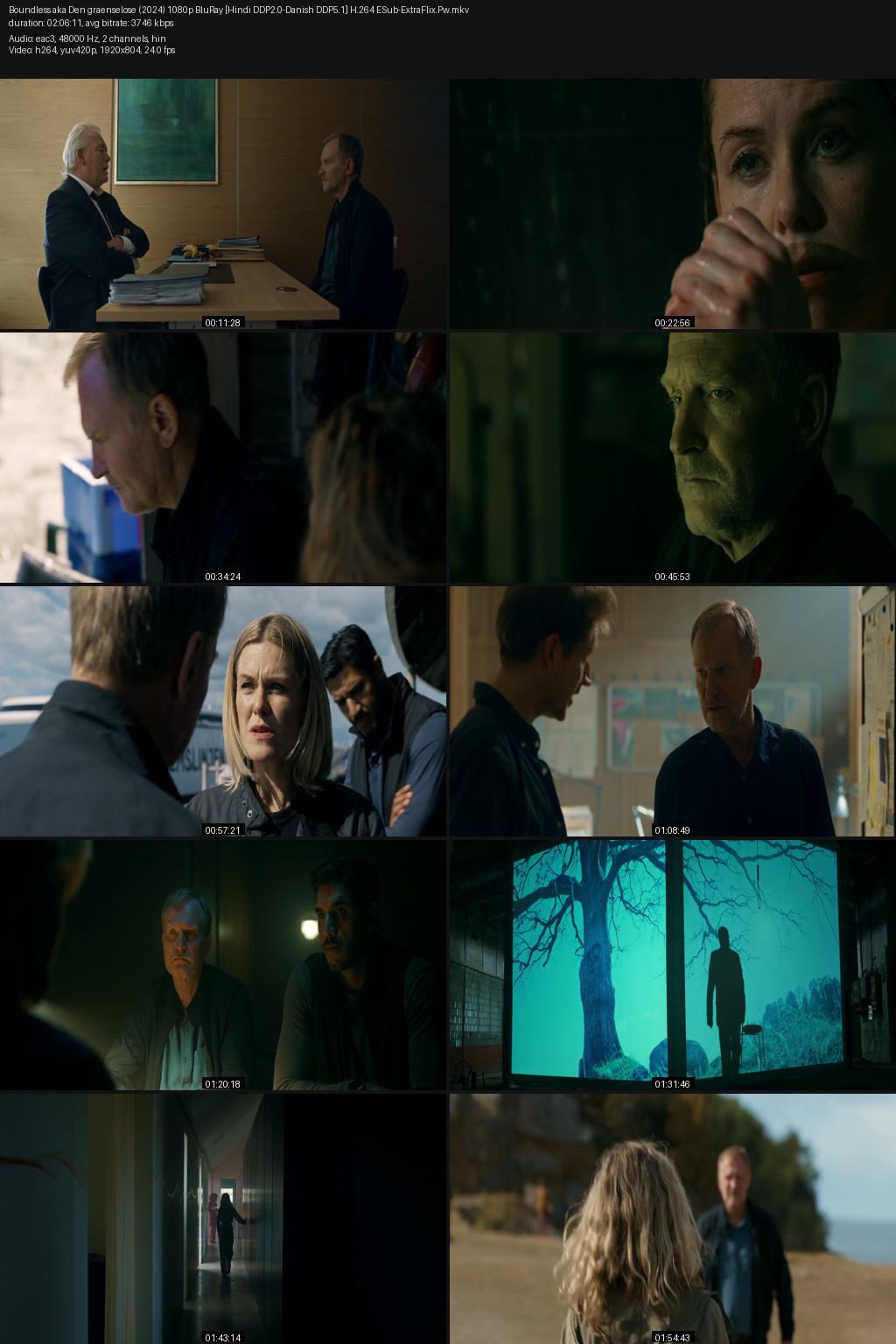 Boundless aka Den graenselose (2024) [Hindi-Danish] 1080p 720p 480p BluRay ESubs Screenshots