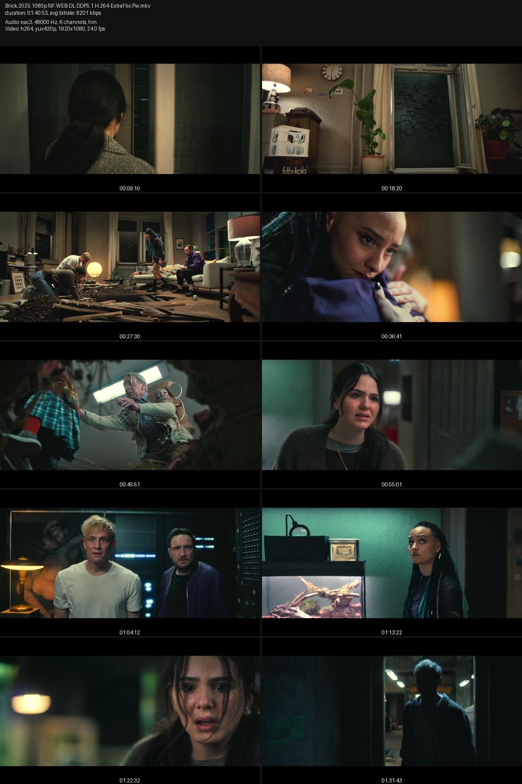 Brick (2025) 1080p | 720p | 480p Netflix WEB-DL [Hindi-German] ESubs Screenshots