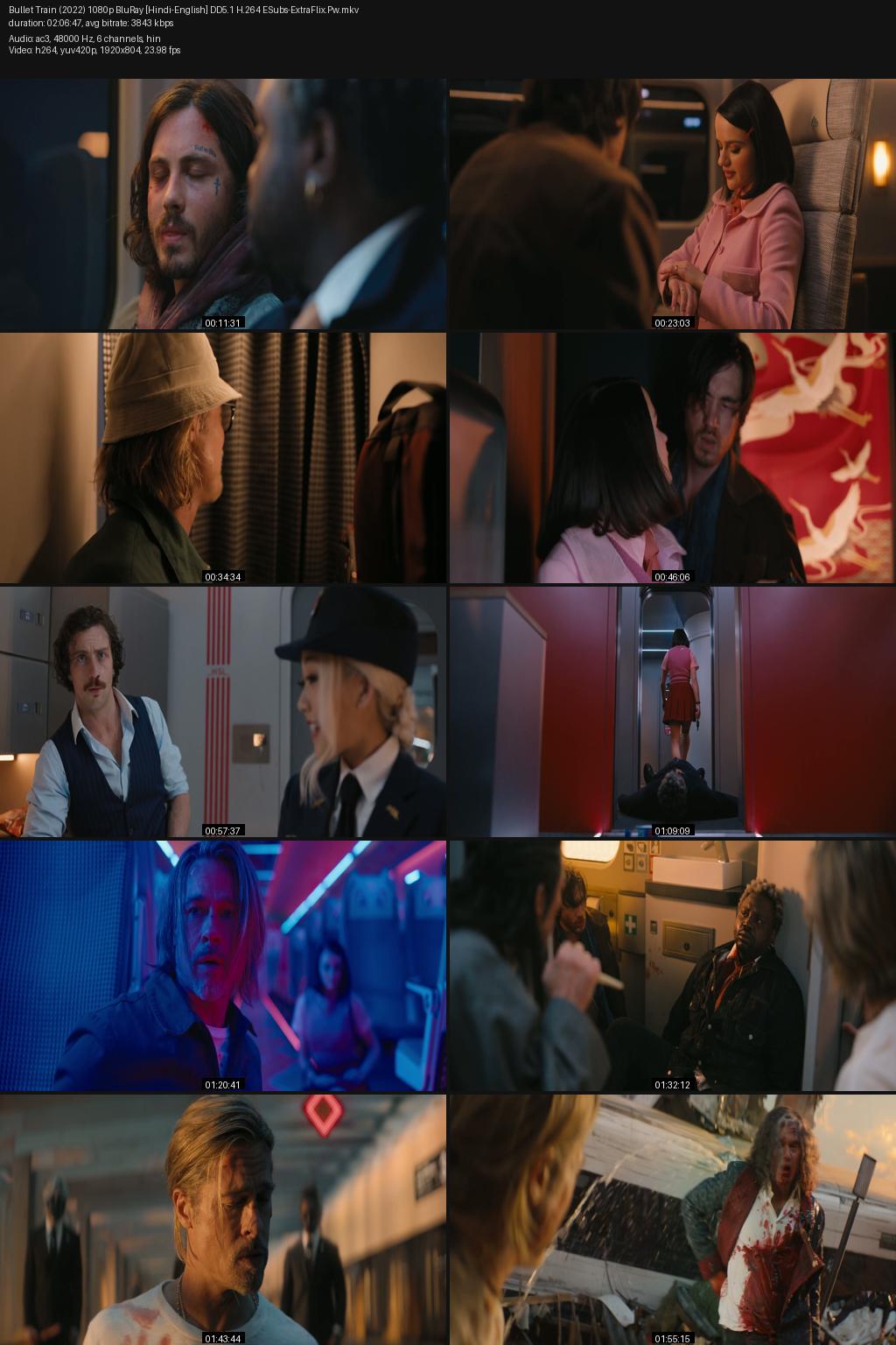 Bullet Train (2022) [Hindi-English] 1080p 720p 480p BluRay ESubs Screenshots