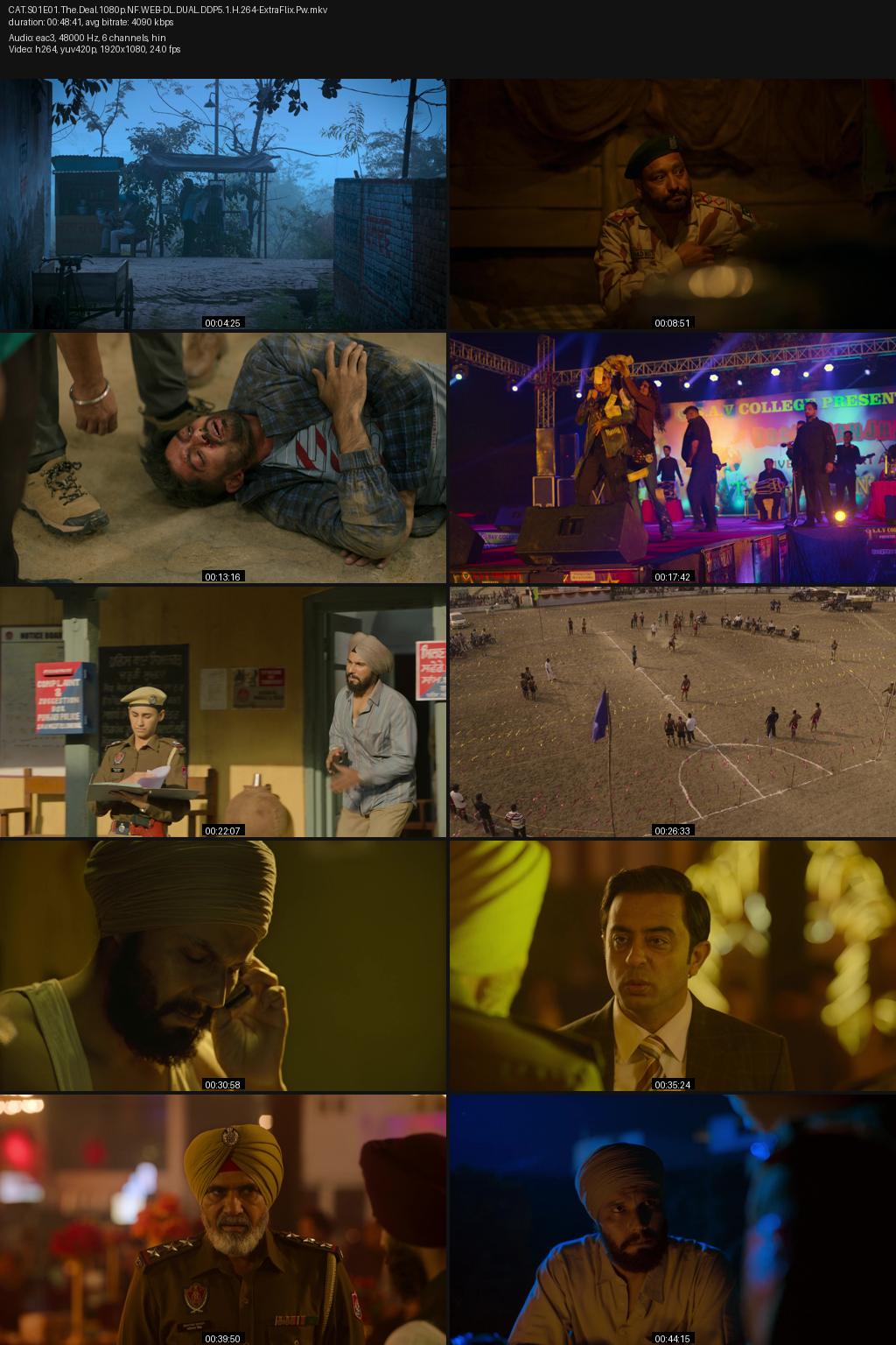 CAT Season 1 (2022) [Hindi-Punjabi] 1080p 720p 480p Netflix WEB-DL ESubs Screenshots