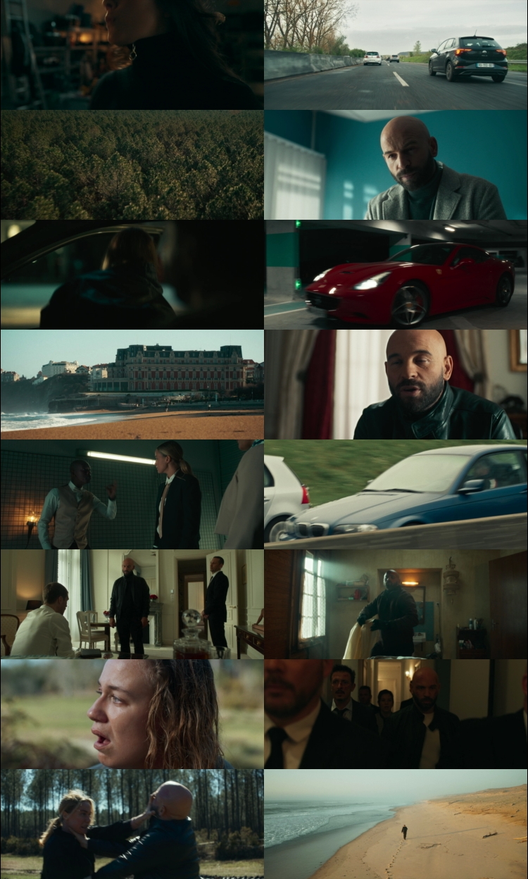Carjackers (2025) 1080p | 720p | 480p WEB-HDRip [Hindi (हिन्दी) + English] DD5.1 ESub Screenshots