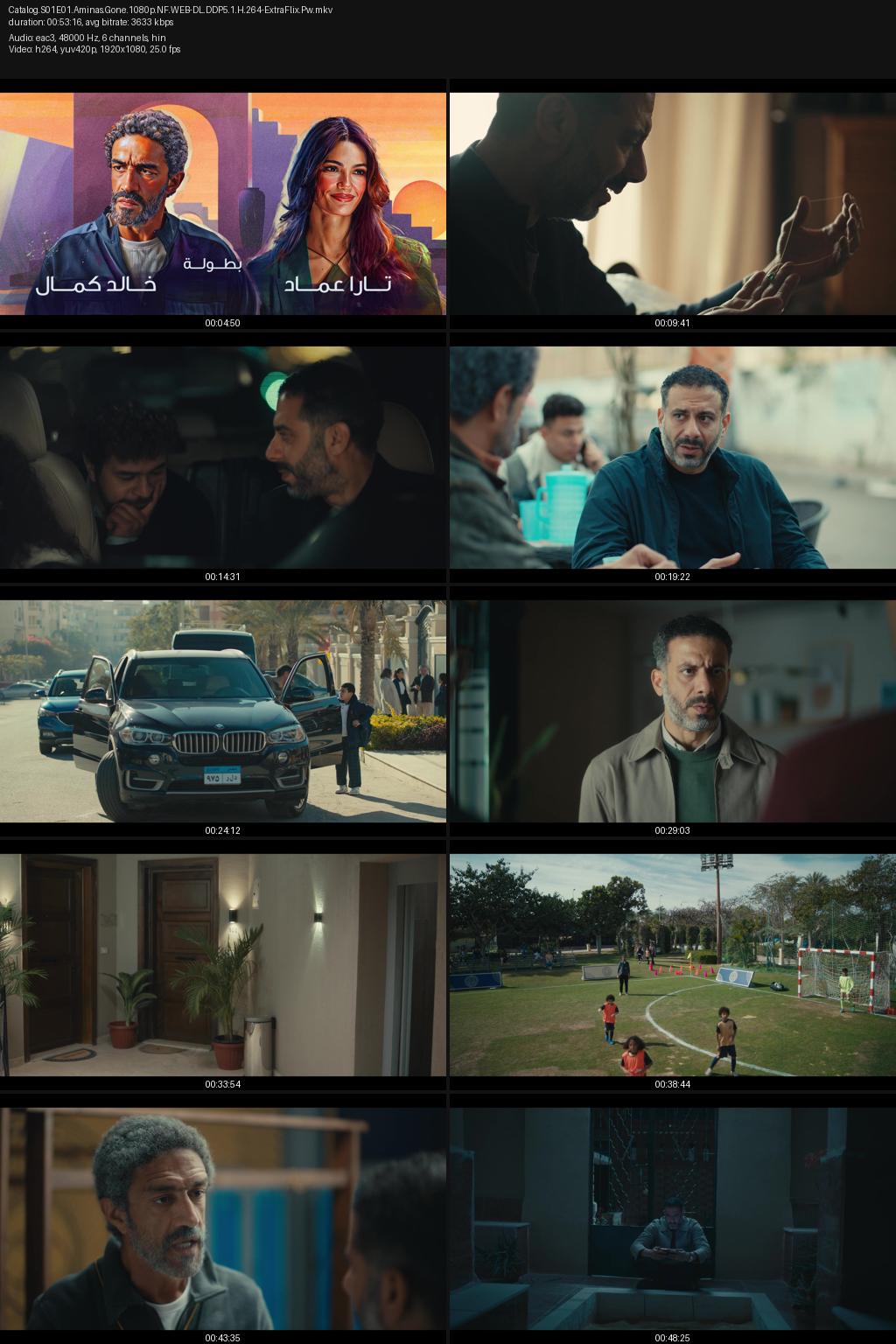 Catalog Season 1 (2025) [Hindi-Arabic] 1080p 720p 480p Netflix WEB-DL ESubs Screenshots