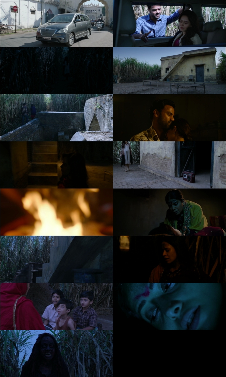 Chhorii (2021) 1080p | 720p | 480p HDRip [Hindi (हिन्दी)] DD5.1 ESubs Screenshots