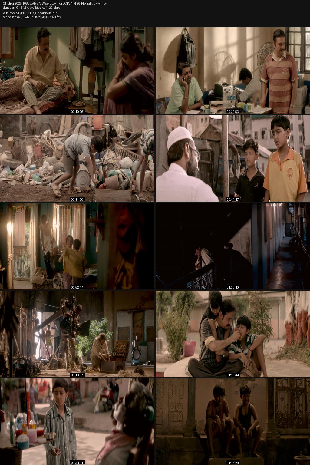 Chidiya (2025) [Hindi] 1080p 720p 480p Amazon WEB-DL ESub Screenshots