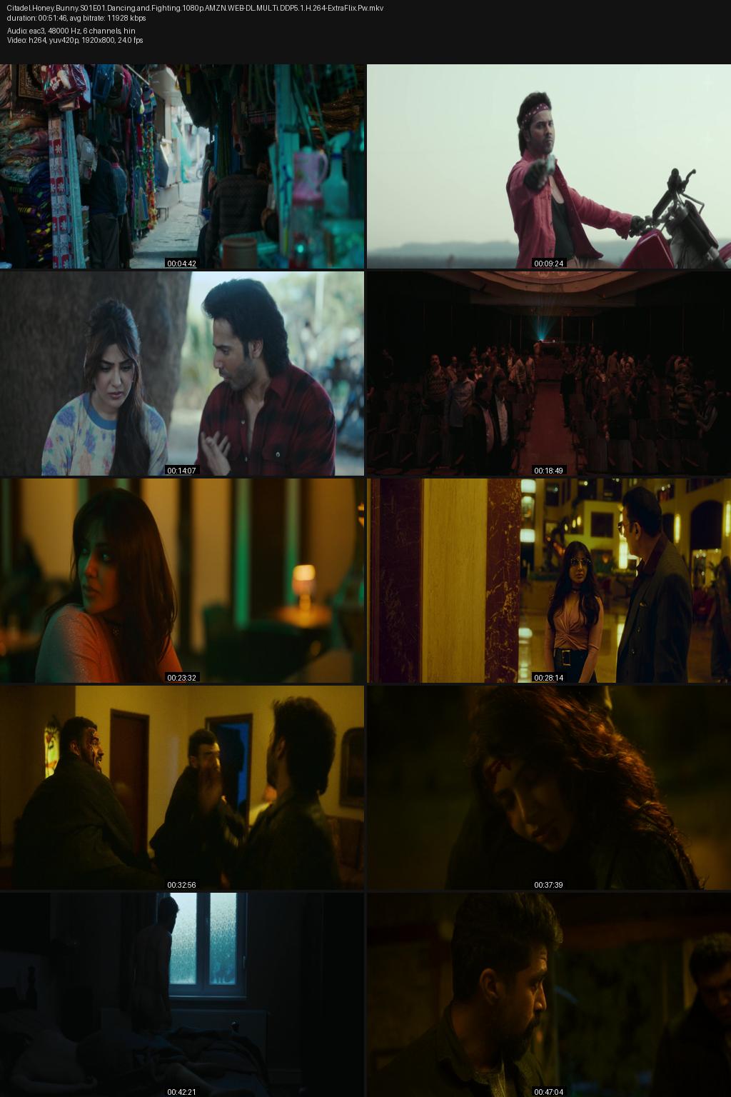Citadel: Honey Bunny Season 1 (2024) [Hindi] 1080p 720p 480p Amazon WEB-DL ESubs Screenshots