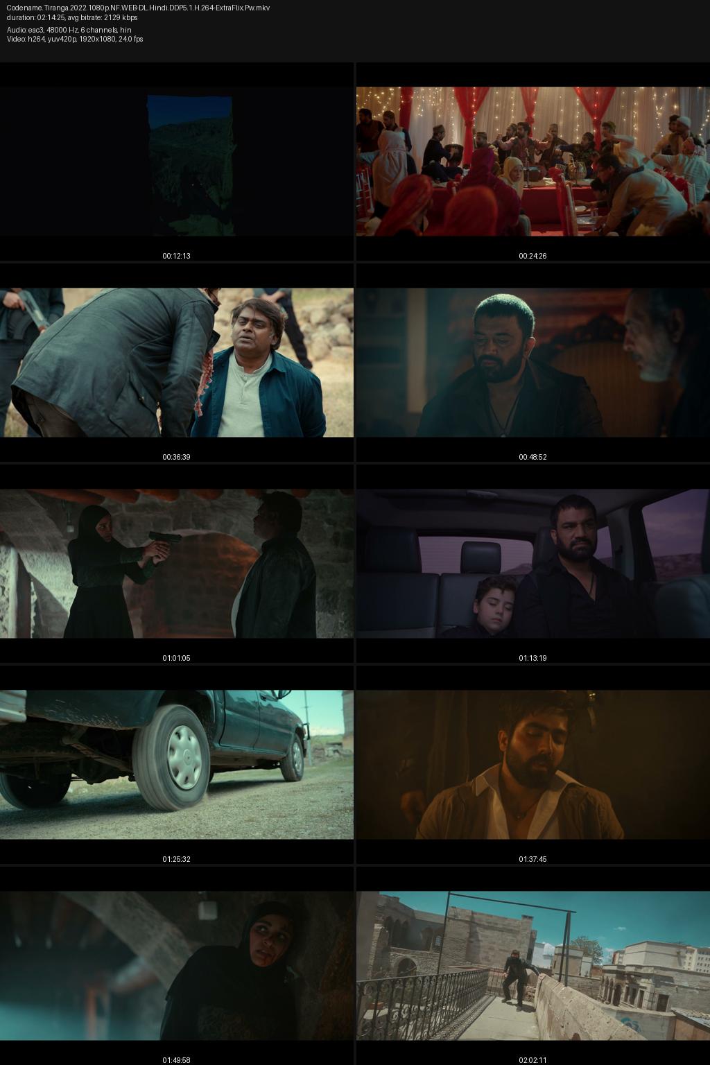 Code Name: Tiranga (2022) [Hindi] 4K 2160p 1080p 720p 480p Netflix WEB-DL ESubs Screenshots