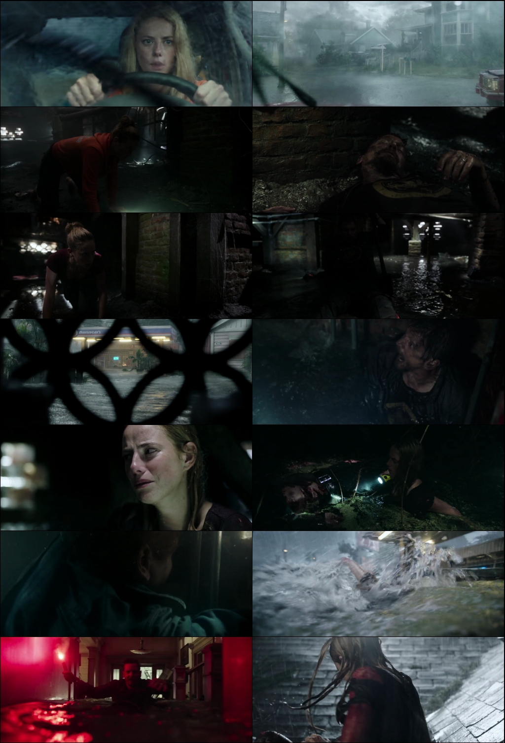 Crawl (2019) 1080p | 720p | 480p BluRay [Hindi (हिन्दी) + English] DD5.1 ESub Screenshots