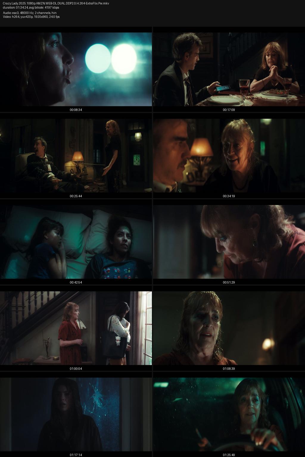 Crazy Old Lady (2025) [Hindi-Spanish] 1080p 720p 480p Amazon WEB-DL ESub Screenshots