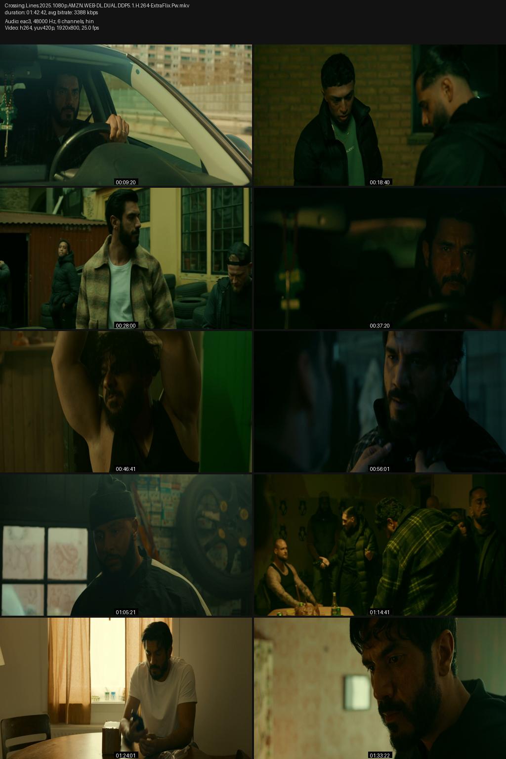 Crossing Lines aka Hele Vejen (2025) [Hindi-Danish] 1080p 720p 480p Amazon WEB-DL ESub Screenshots