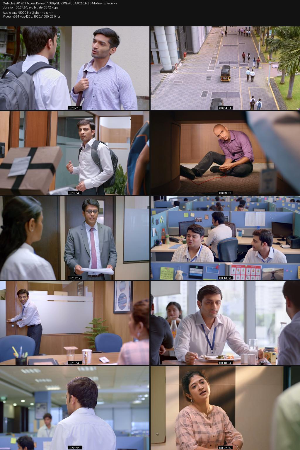 Cubicles Season 1 (2019) Hindi 1080p 720p 480p SonyLIV WEB-DL ESub Screenshots