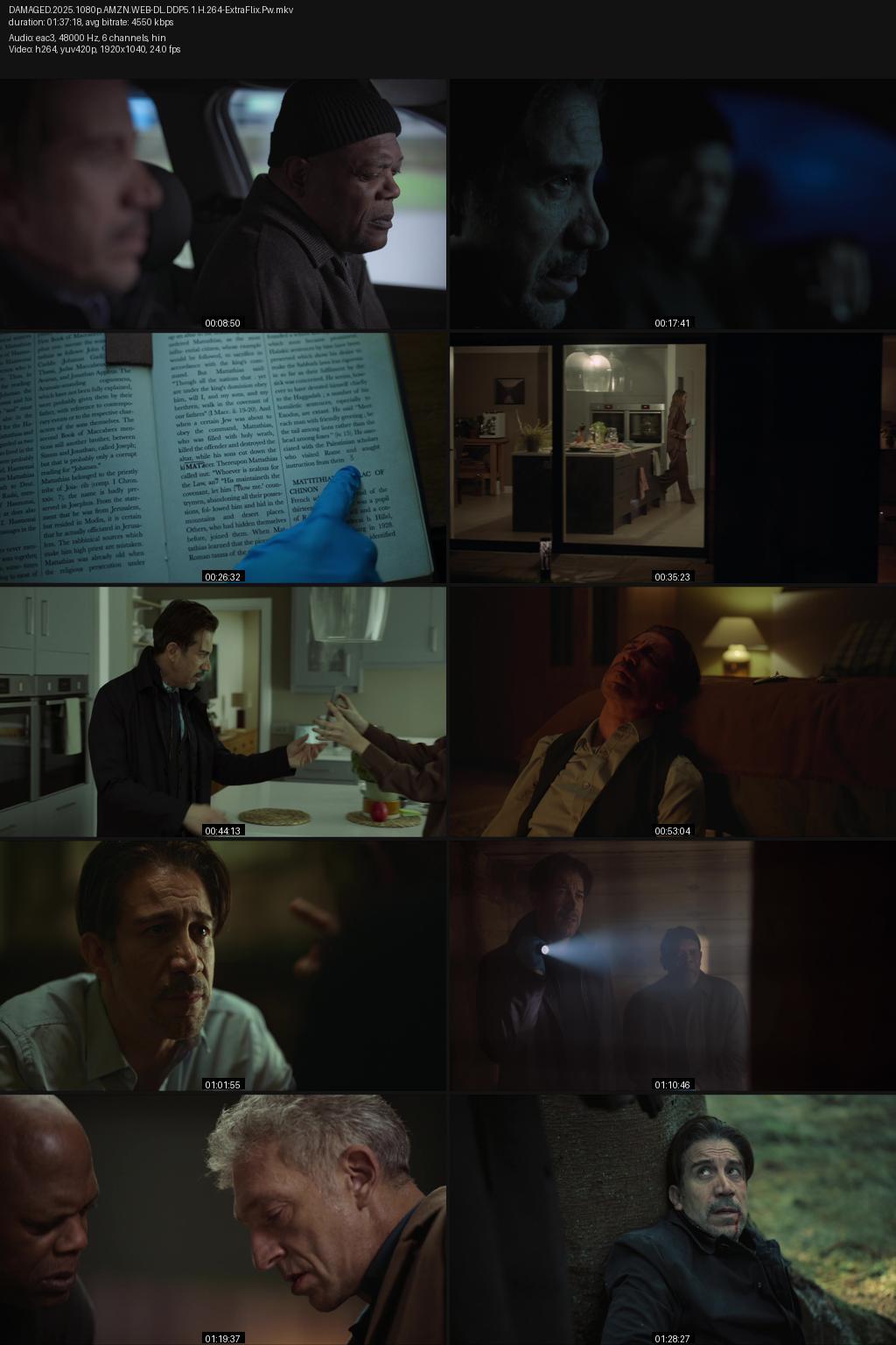 Damaged (2024) [Hindi-English] 1080p 720p 480p Amazon WEB-DL ESub Screenshots